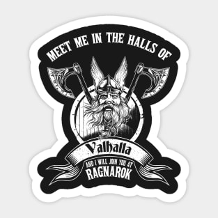 Odin or Wodan Valhalla Viking Warrior Ragnar Norse T-Shirt Sticker